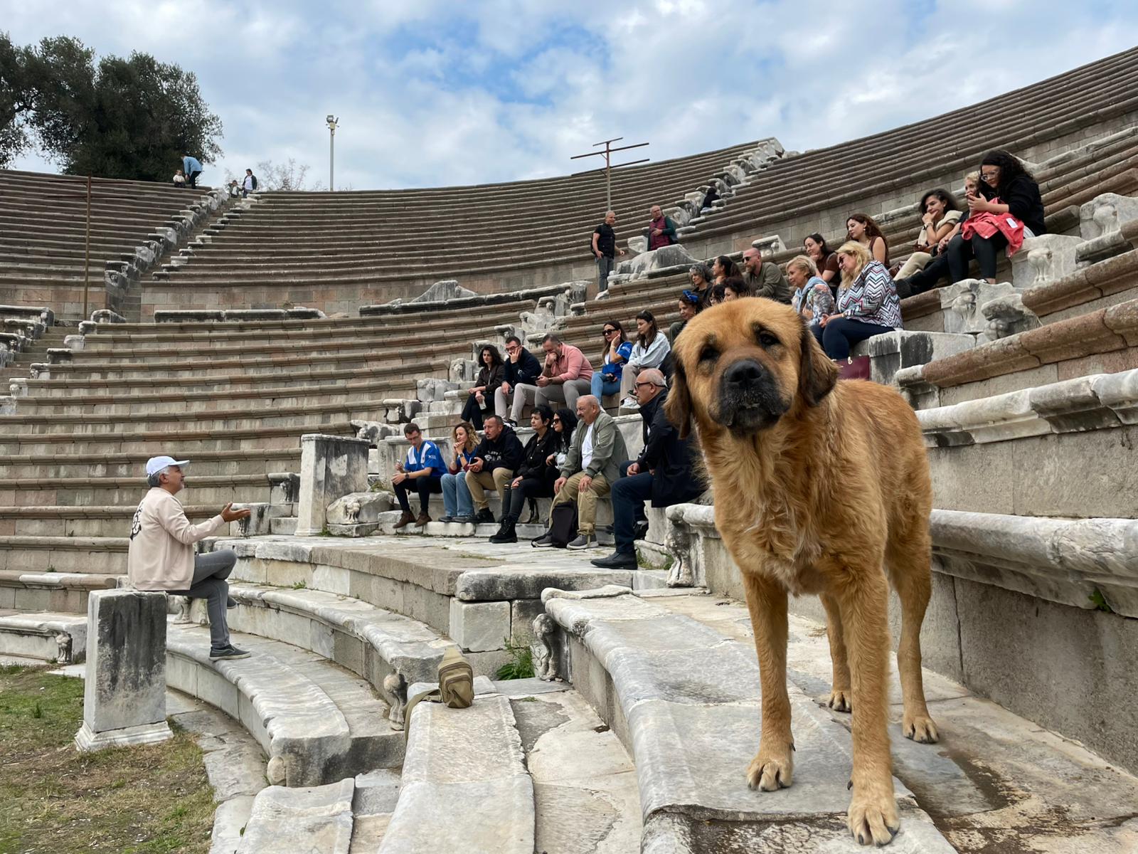 Haytap 20. Ulusal Temsilciler Toplantısı İzmir Bergama’da Yapıldı - Ekim 2025